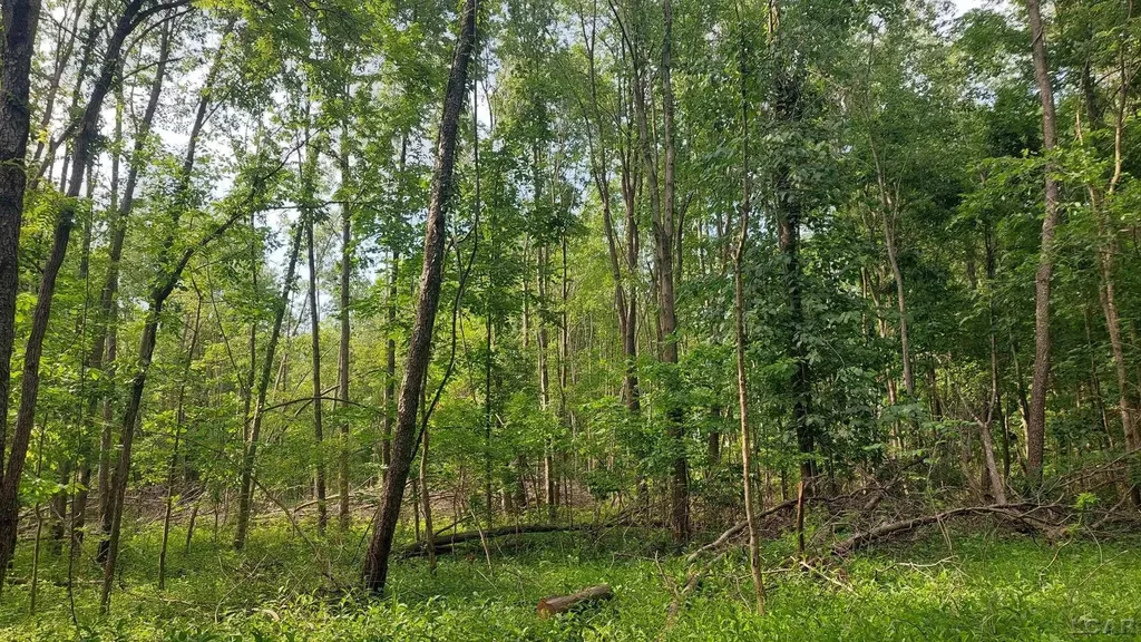 W Mosherville Road Litchfield Township MI 49252