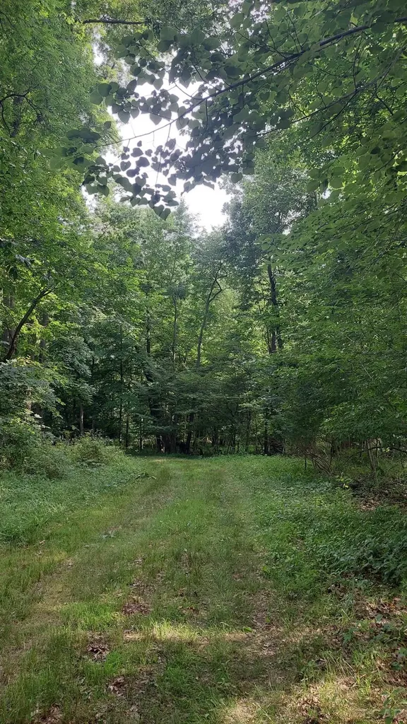 W Mosherville Road Litchfield Township MI 49252