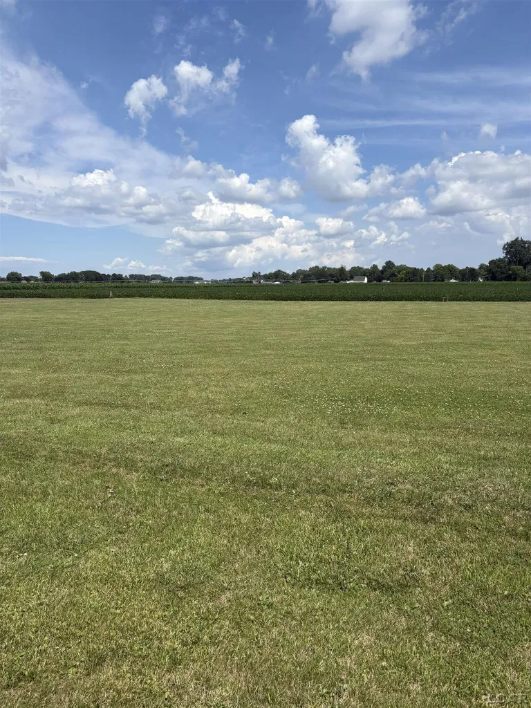 5000 Blk Ricker Lot B Highway Blissfield Village MI 49228