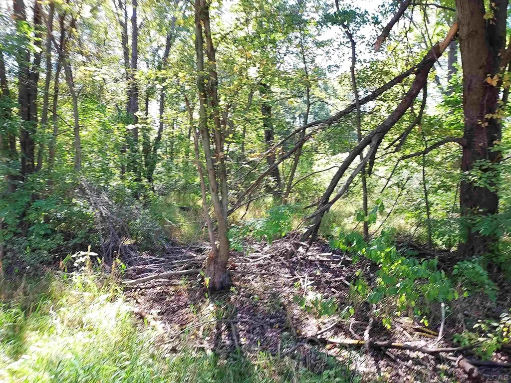 203 Kirkley Drive Columbia Township MI 49230
