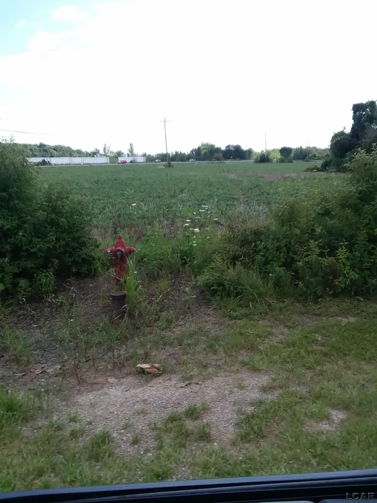 2268 E Sigler Road Carleton Village MI 48117