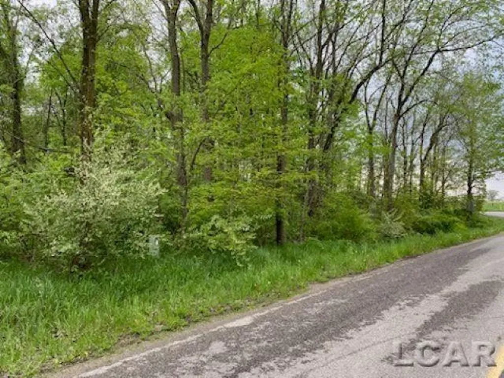 8000 Blk Lot 10 Stephenson Road Cambridge Township MI 49265