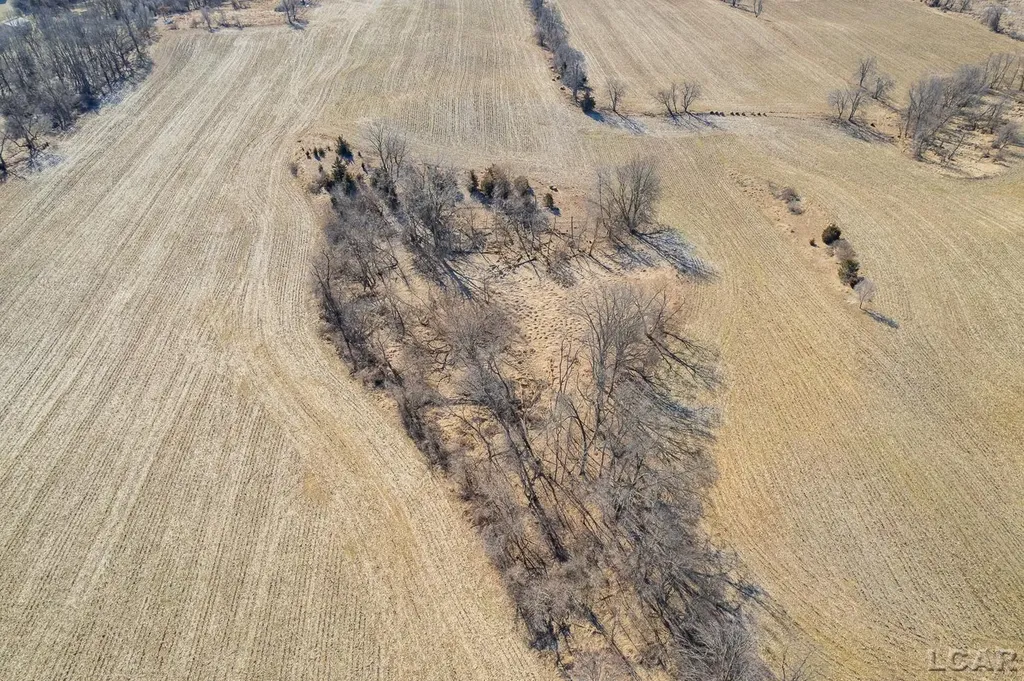 9550 Case Road Norvell Township MI 49230
