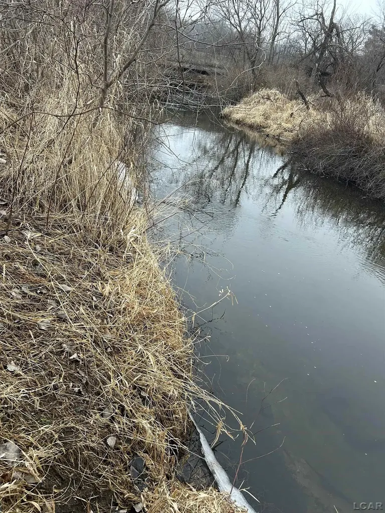 10405 Brooklyn Road Columbia Township MI 49230