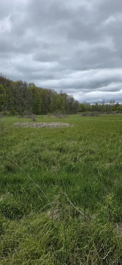 12000 Slee Road Cambridge Township MI 49253