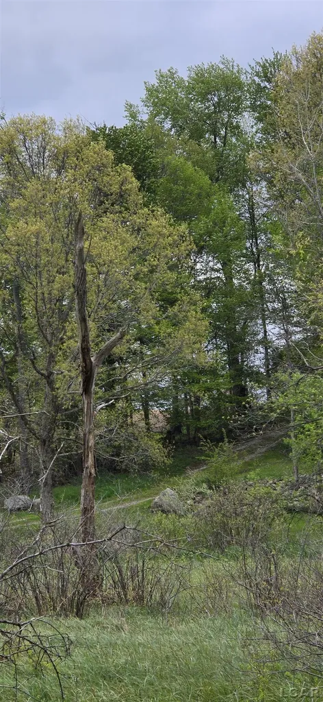 12000 Slee Road Cambridge Township MI 49253