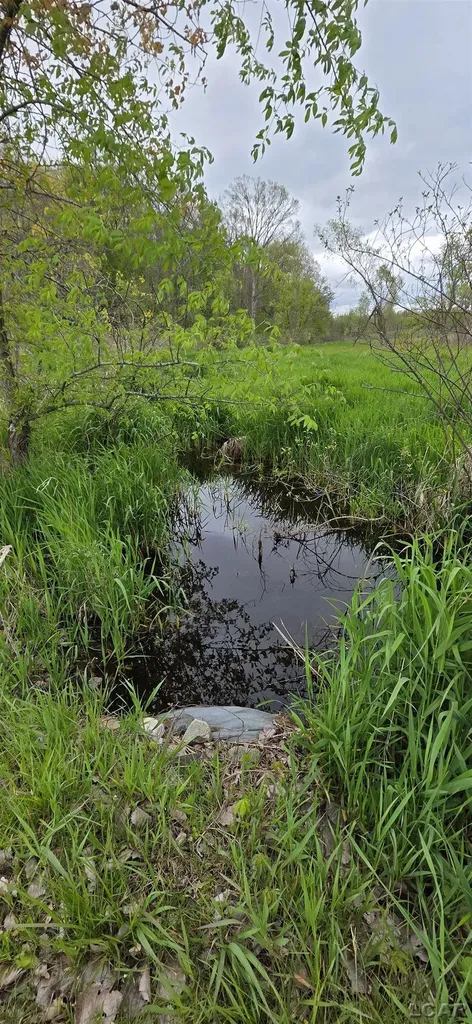 12000 Slee Road Cambridge Township MI 49253