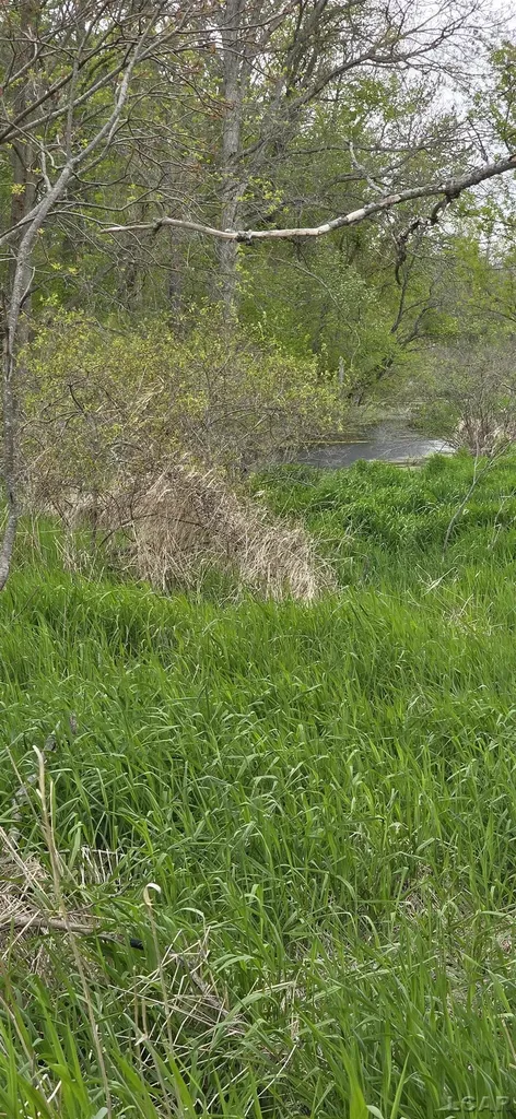 12000 Slee Road Cambridge Township MI 49253