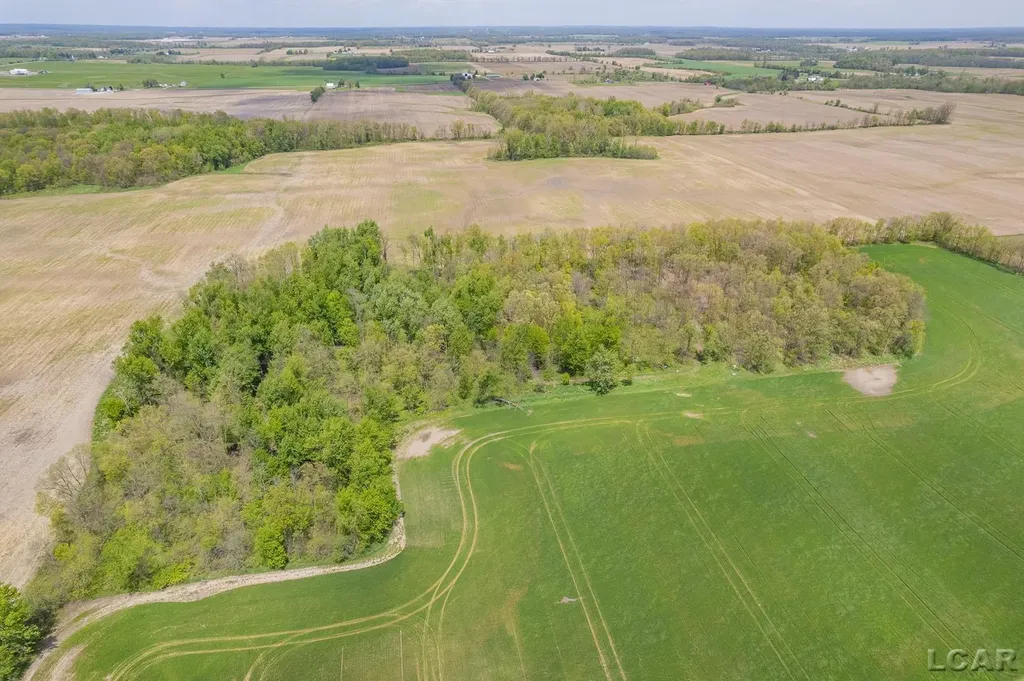 16580 W Ridgeville Road Medina Township MI 49288