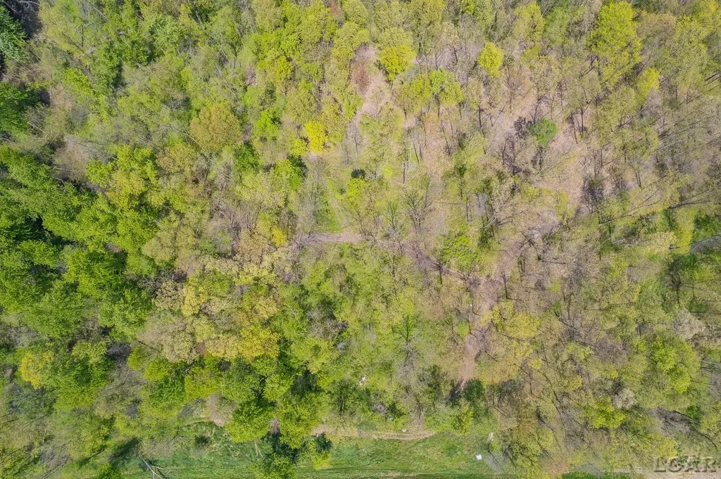 16580 W Ridgeville Road Medina Township MI 49288