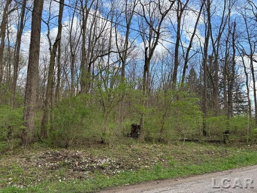 0 Black Highway Raisin Township MI 49221