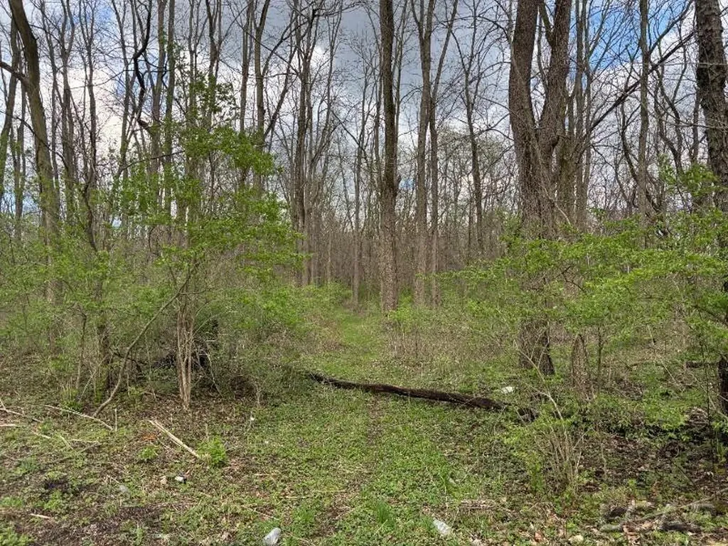 0 Black Highway Raisin Township MI 49221