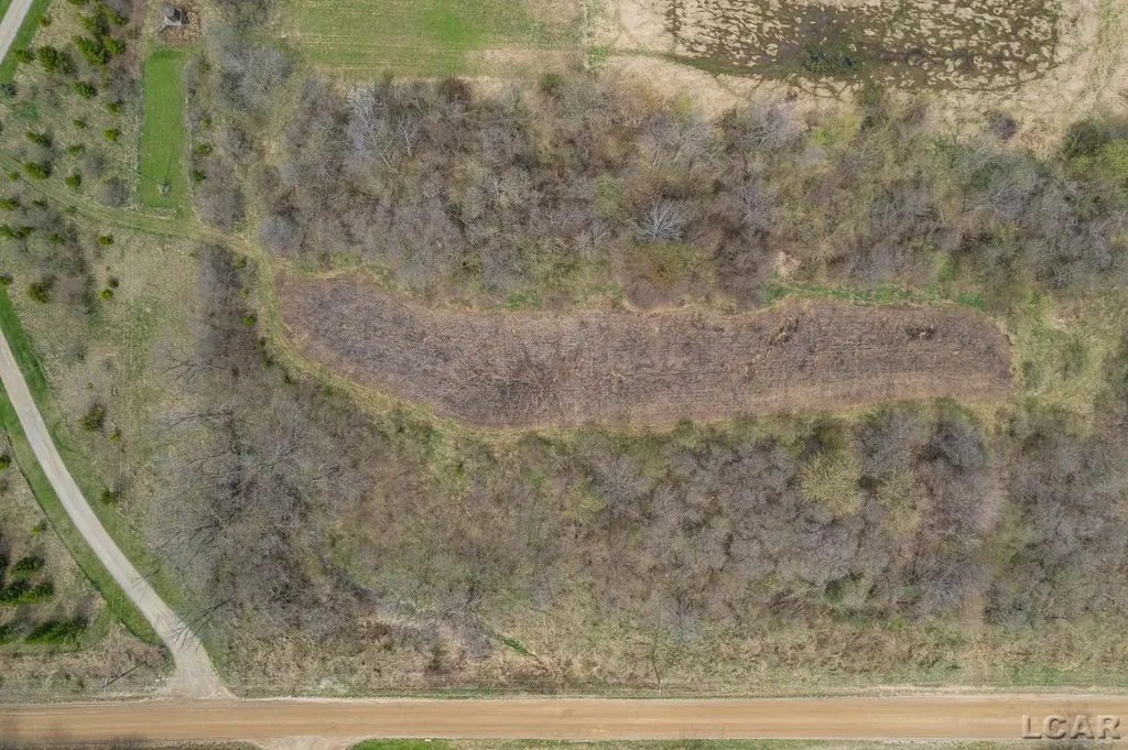 12000 Blk Burton Road Rome Township MI 49253