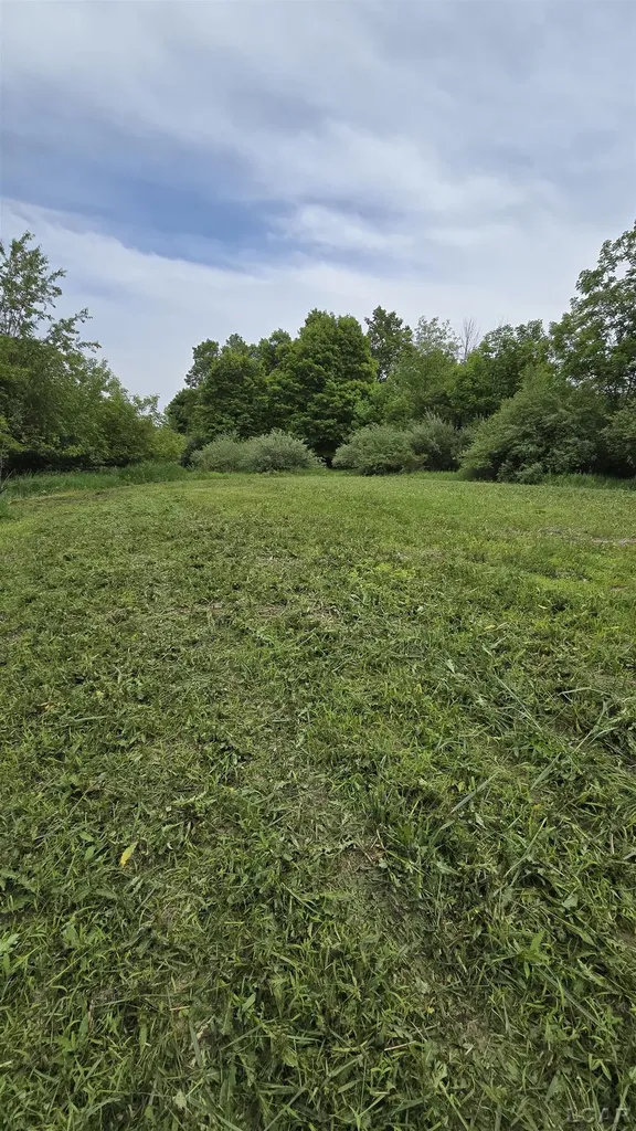 12000 Blk Burton Road Rome Township MI 49253