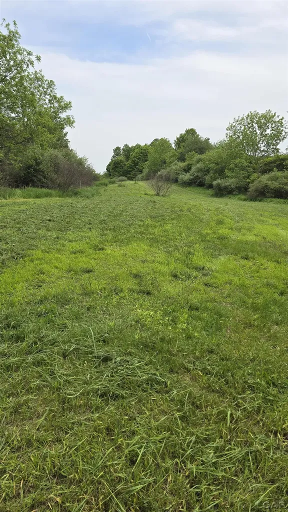 12000 Blk Burton Road Rome Township MI 49253