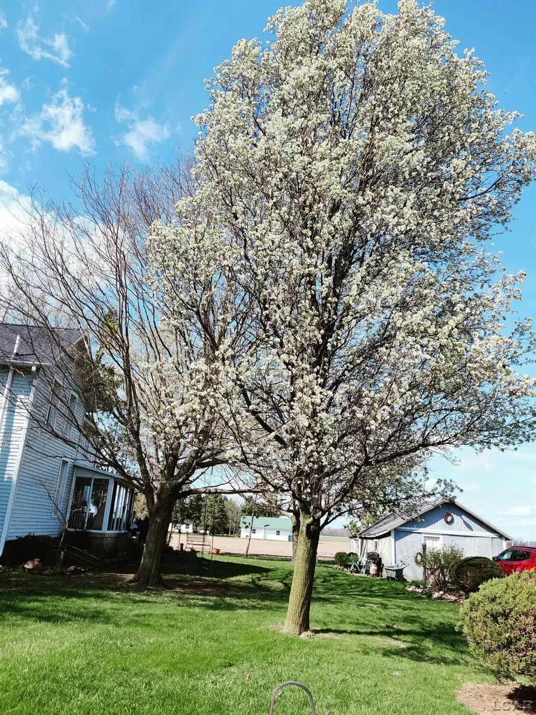 8135 Berkey Highway Riga Township MI 49228