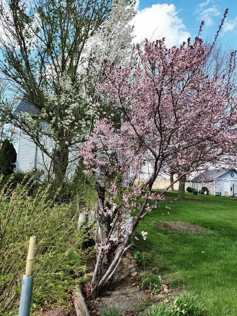 8135 Berkey Highway Riga Township MI 49228