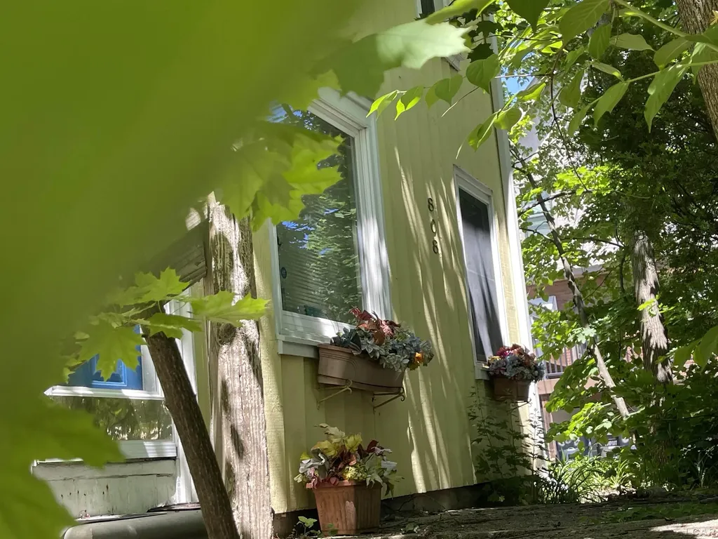 808 Mary Street Ann Arbor City MI 48104