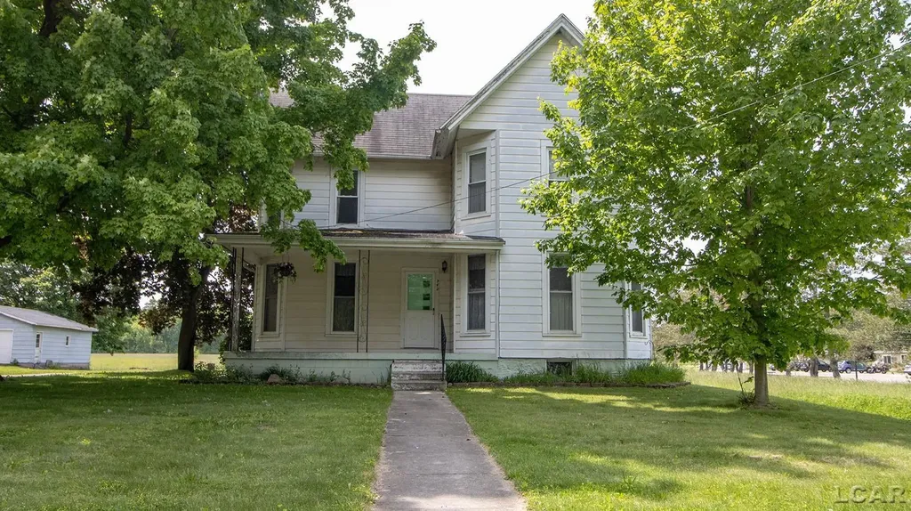 342 N Main Street Onsted Village MI 49265