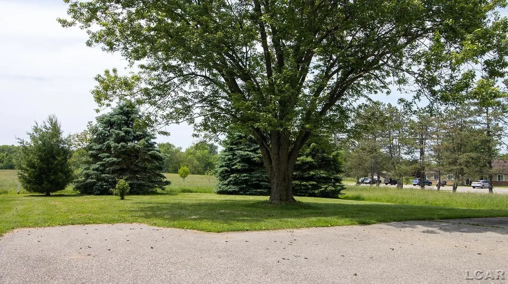342 N Main Street Onsted Village MI 49265