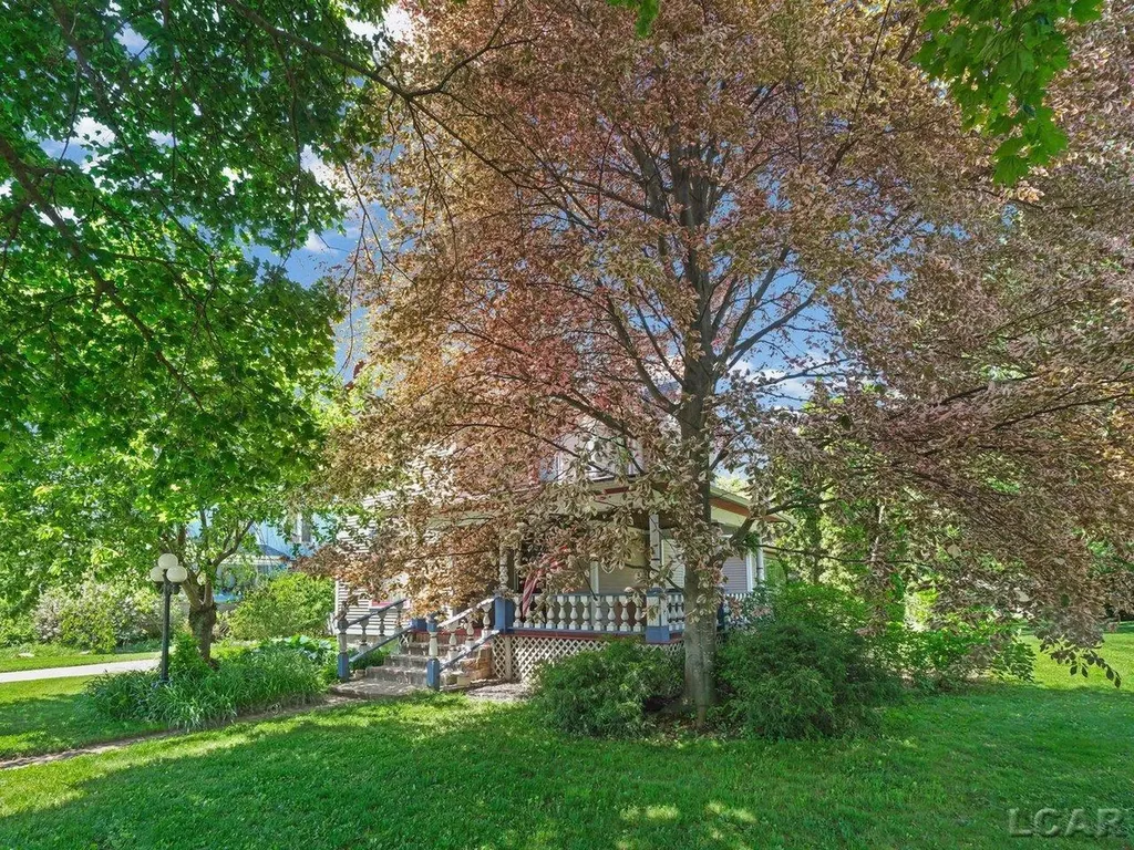 226 Giles Avenue Blissfield Village MI 49228
