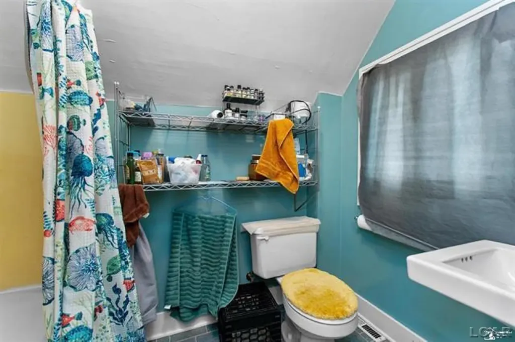 224 Cherry Street Blissfield Village MI 49228