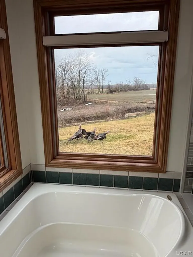 5397 Elm Road Pittsford Township MI 49247