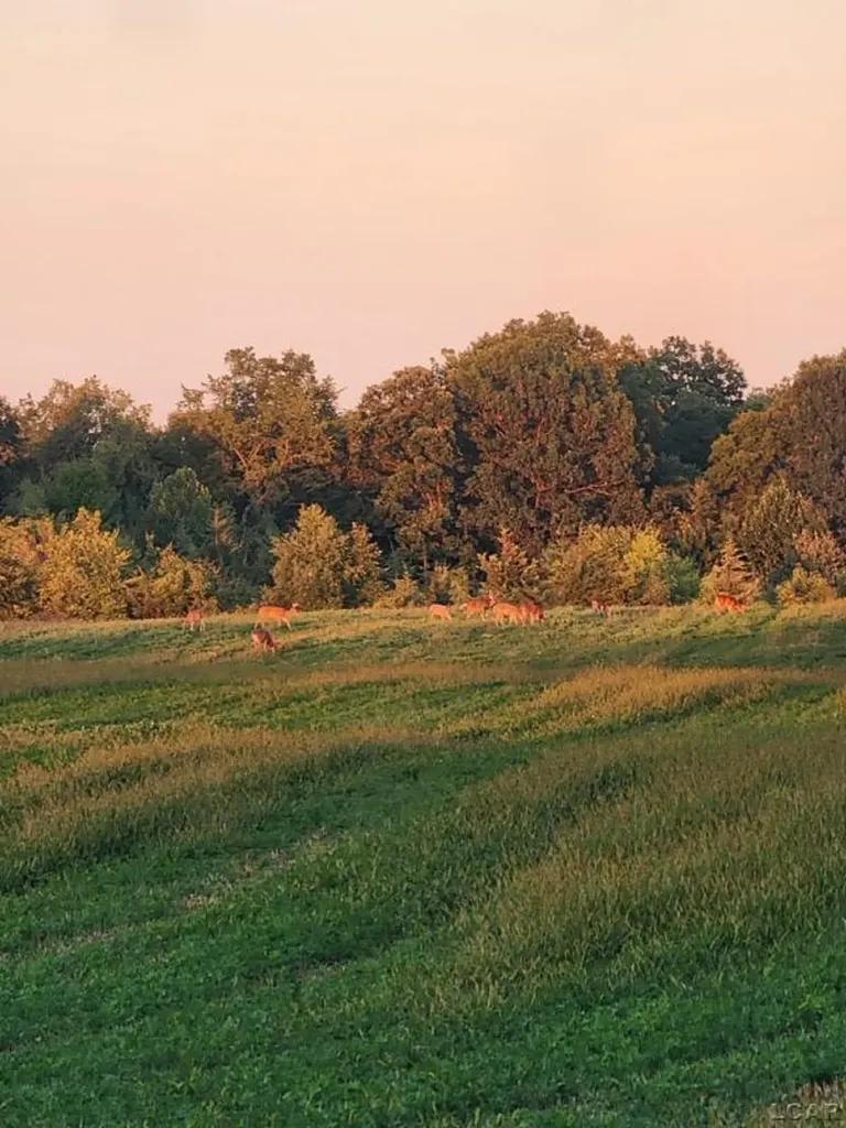 5397 Elm Road Pittsford Township MI 49247