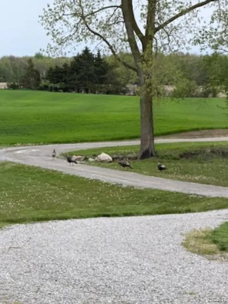 5397 Elm Road Pittsford Township MI 49247