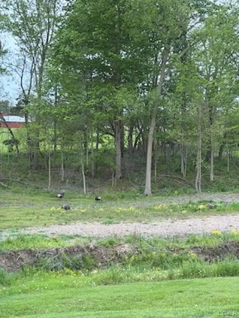 5397 Elm Road Pittsford Township MI 49247