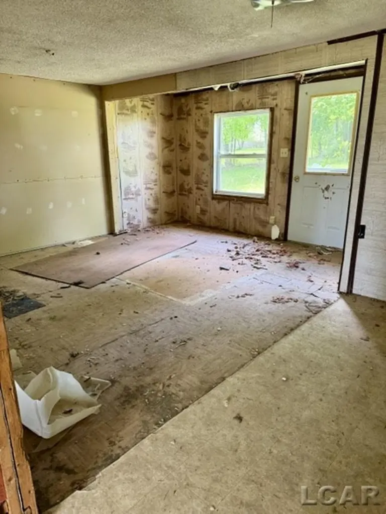 4856 Deleon Drive Raisin Township MI 49286