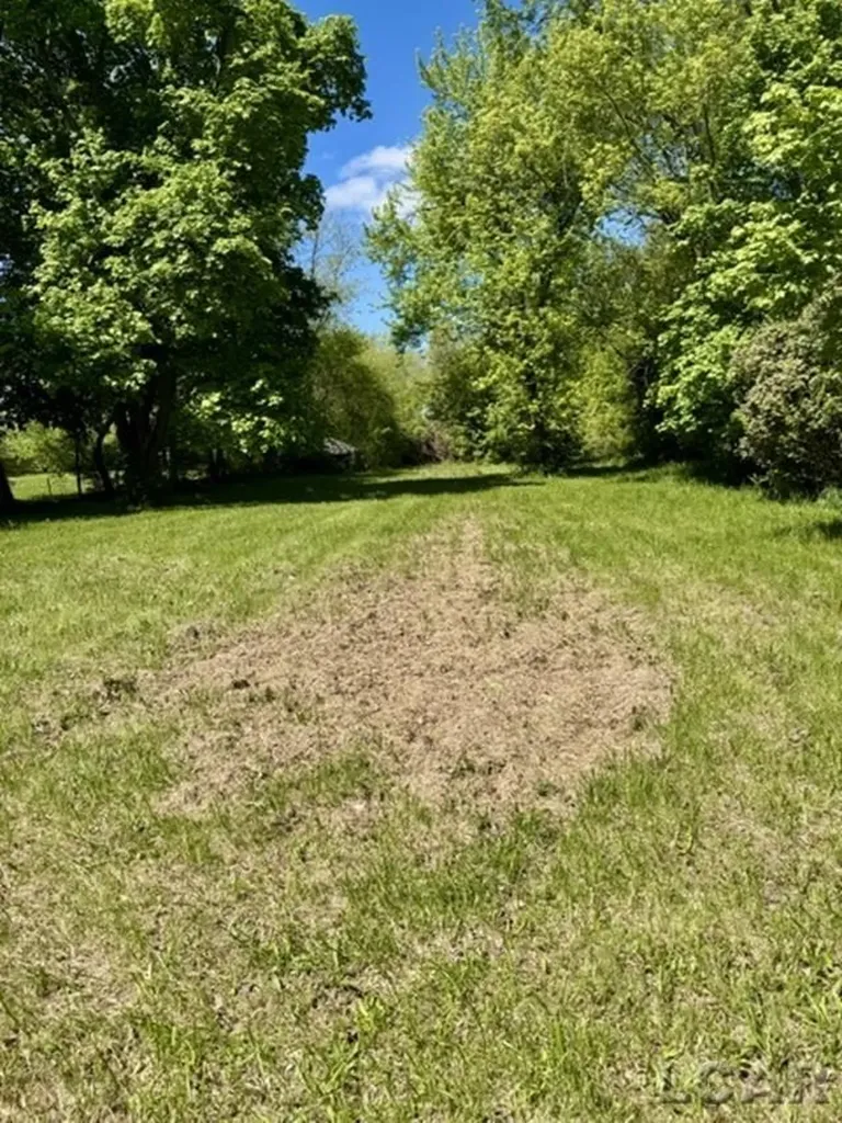 4856 Deleon Drive Raisin Township MI 49286