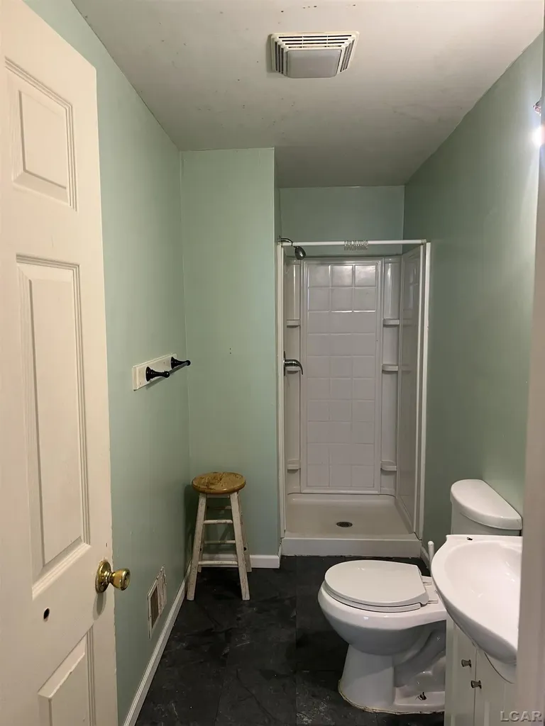 408 Toledo Street Adrian City MI 49221