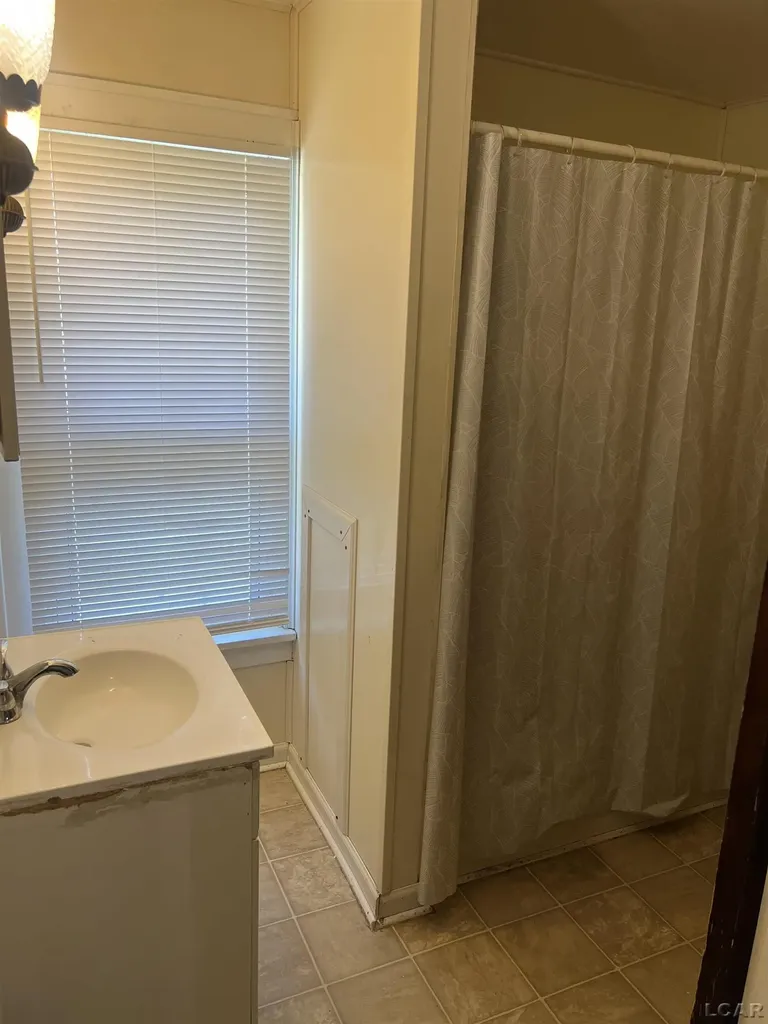 408 Toledo Street Adrian City MI 49221