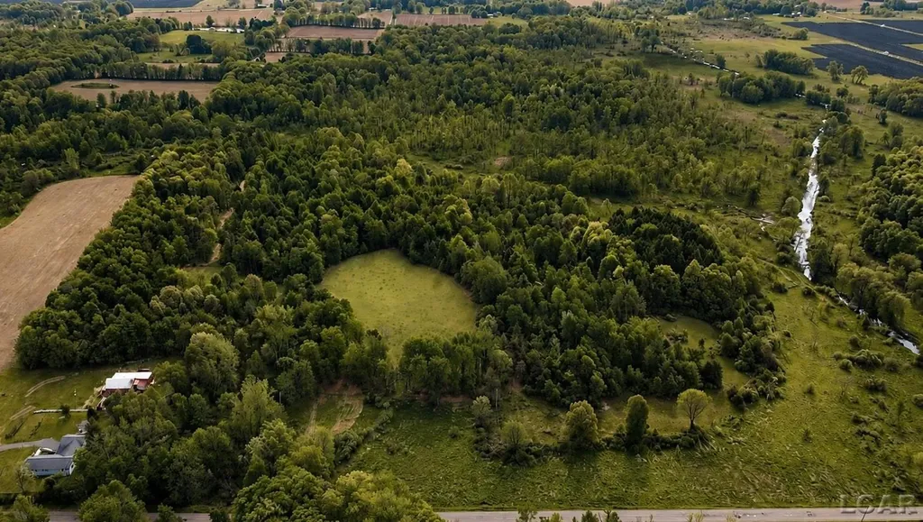 15252 27 Mile Road Sheridan Township MI 49224