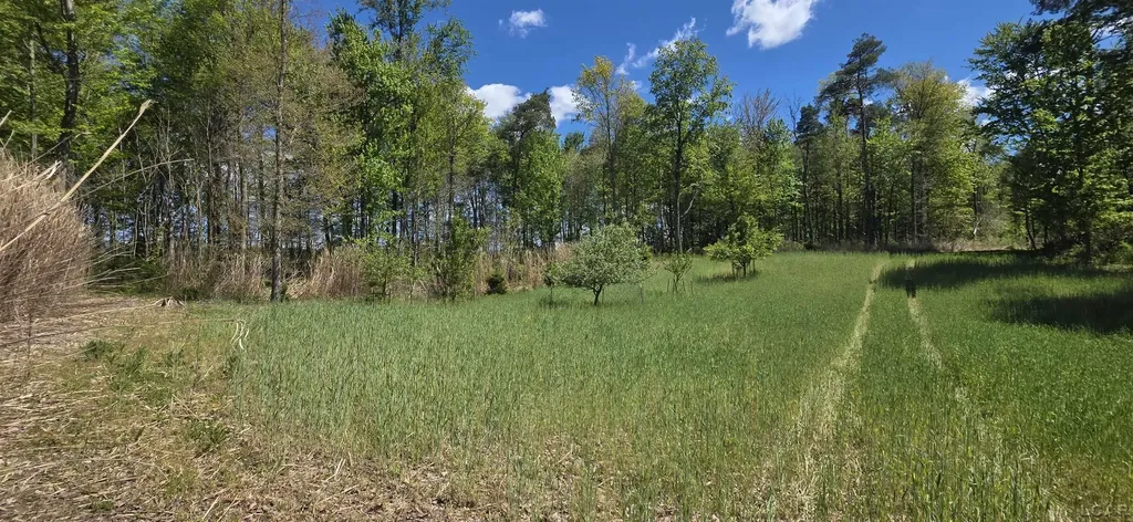 15252 27 Mile Road Sheridan Township MI 49224