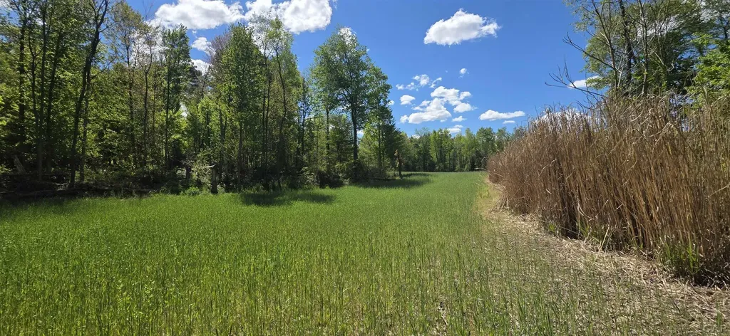 15252 27 Mile Road Sheridan Township MI 49224