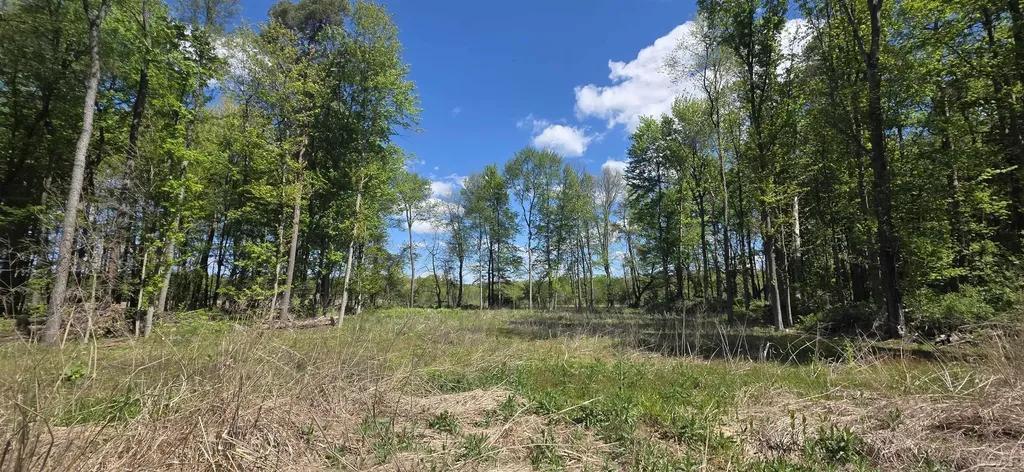 15252 27 Mile Road Sheridan Township MI 49224