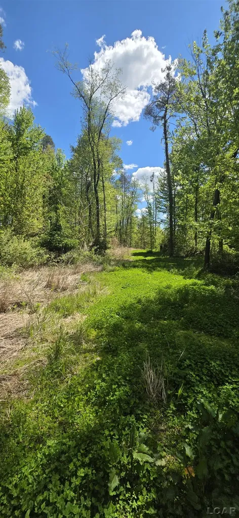 15252 27 Mile Road Sheridan Township MI 49224