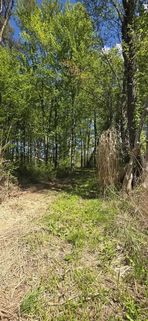 15252 27 Mile Road Sheridan Township MI 49224