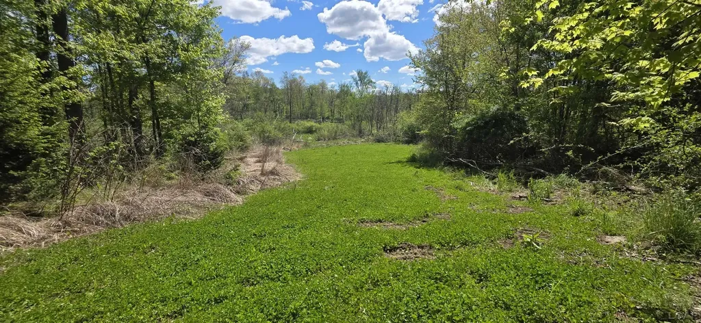 15252 27 Mile Road Sheridan Township MI 49224