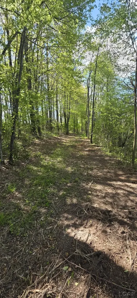 15252 27 Mile Road Sheridan Township MI 49224