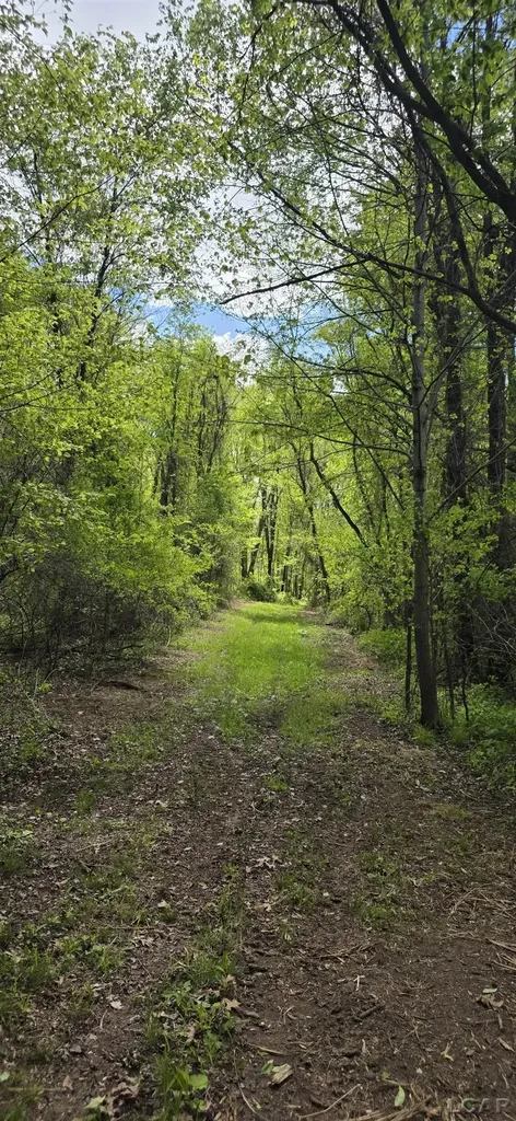 15252 27 Mile Road Sheridan Township MI 49224