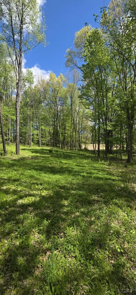 15252 27 Mile Road Sheridan Township MI 49224