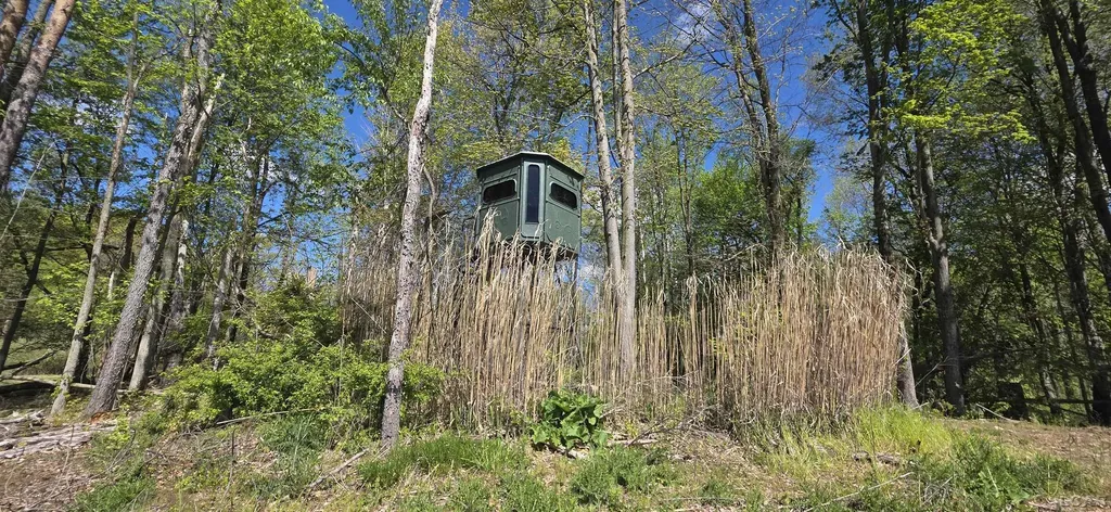 15252 27 Mile Road Sheridan Township MI 49224