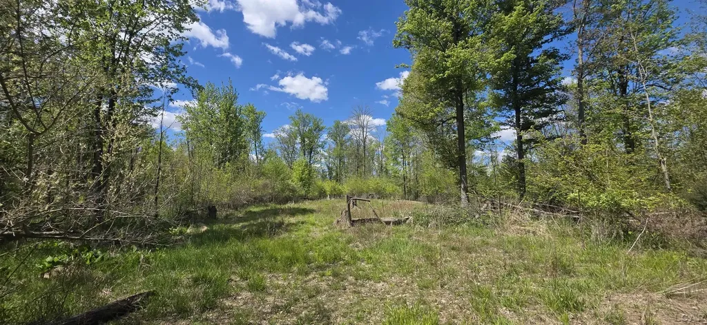 15252 27 Mile Road Sheridan Township MI 49224