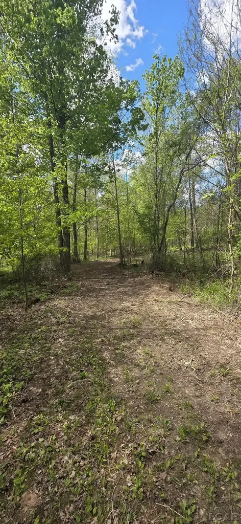 15252 27 Mile Road Sheridan Township MI 49224