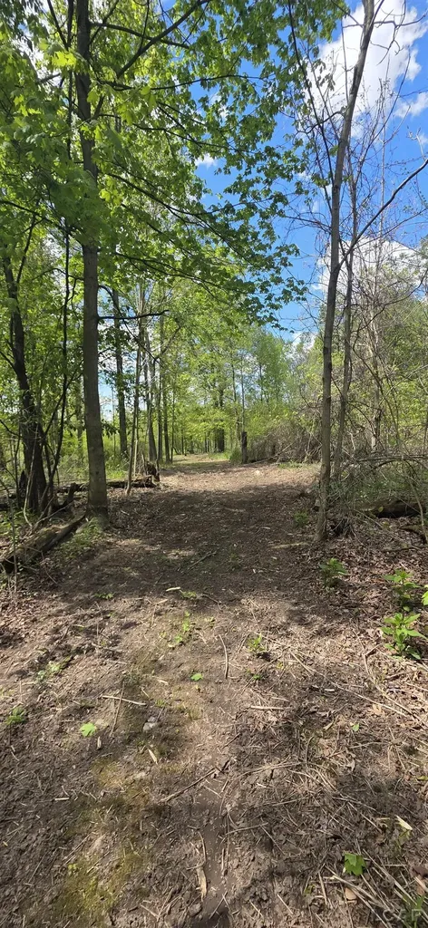 15252 27 Mile Road Sheridan Township MI 49224