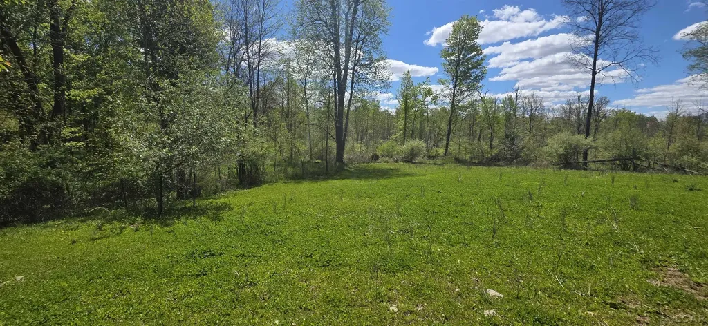 15252 27 Mile Road Sheridan Township MI 49224