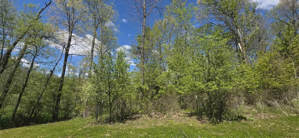 15252 27 Mile Road Sheridan Township MI 49224